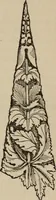 An illustration from The stones of Venice : v.2, the sea-stories (1853)