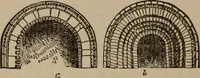 An illustration from The stones of Venice : v.2, the sea-stories (1853)