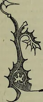 An illustration from The stones of Venice : [With appendices, additional notes, and "Venetian index."] (1894)