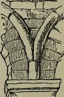 An illustration from The stones of Venice : [With appendices, additional notes, and "Venetian index."] (1894)
