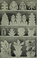 An illustration from The stones of Venice : [With appendices, additional notes, and "Venetian index."] (1894)