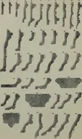 Picture 13 of 25 from The stones of Venice : [With appendices, additional notes, and "Venetian index."] (1894), leaf 271