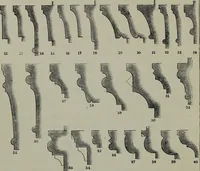 An illustration from The stones of Venice : [With appendices, additional notes, and "Venetian index."] (1894)
