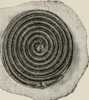 An illustration from Cold storage, heating and ventilating on board ship (1911)