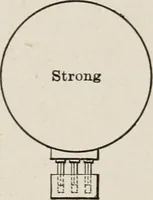 Picture 79 of 106 from Cold storage, heating and ventilating on board ship (1911), leaf 208
