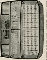 An illustration from Cold storage, heating and ventilating on board ship (1911)