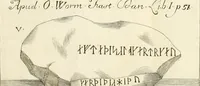 Picture 8 of 17 from Storia antiquaria etrusca : del principio e de' progressi fatti finora nello studio sopra l'antichità etrusche scritte e figurate : divisa in due parti, colla difesa dell' alfabeto degli antichi Toscani pubblicato nel MDCCXXXVIII dall' autore del Museo etrusco [i.e. Scipione Maffei] : col XII tavole e figure (1749), leaf 123