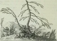 An illustration from Storia dell' Accademia clementina di Bologna, aggregata all'Instituto delle scienze e dell'arti (1739)