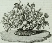 Picture 49 of 49 from Storia dell' Accademia clementina di Bologna, aggregata all'Instituto delle scienze e dell'arti (1739), leaf 367