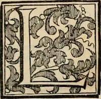 An illustration from Storia della citta' di Montepulciano di Spinello del cap.no (1641)