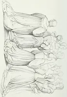 An illustration from Storia della pittura italiana esposta coi monumenti (1848)