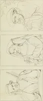 Picture 2 of 39 from Storia della pittura italiana esposta coi monumenti (1848), leaf 14