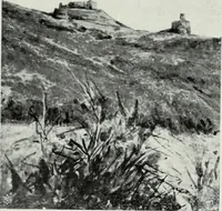 An illustration from Storia dell'arte in Sardegna dal XI al XIV secolo (1907)