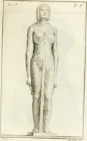 Picture 48 of 56 from Storia delle arti del disegno presso gli antichi (1783), leaf 582