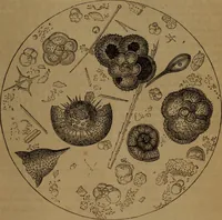 Picture 41 of 41 from Stories of inventors and discoverers in science and the useful arts. A book for old and young (1860), leaf 470