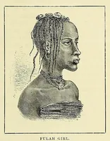 An illustration from The story of Africa and its explorers (1892)