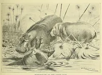 An illustration from The story of Africa and its explorers (1892)