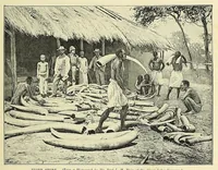 An illustration from The story of Africa and its explorers (1892)