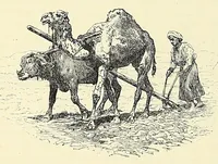 An illustration from The story of Africa and its explorers (1892)