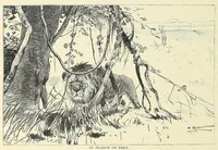 Picture 9 of 15 from The story of Africa and its explorers (1892), leaf 200