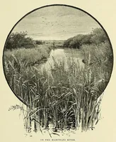 Picture 10 of 15 from The story of Africa and its explorers (1892), leaf 225