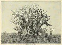 An illustration from The story of Africa and its explorers (1892)