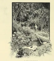 An illustration from The story of Africa and its explorers (1892)