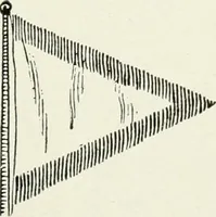 An illustration from Story of the American flag with patriotic selections and incidents (1903)