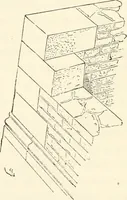 An illustration from The story of a house (1874)