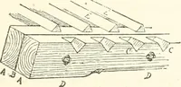 An illustration from The story of a house (1874)