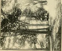 An illustration from The story of Patriots' day, Lexington and Concord, April 19, 1775, with poems brought out on the first observation of the anniversary holiday (1895)
