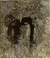 An illustration from The story of the sun, moon, and stars (1898)