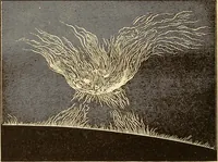 An illustration from The story of the sun, moon, and stars (1898)