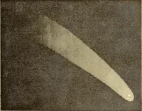 Picture 35 of 52 from The story of the sun, moon, and stars (1898), leaf 252