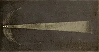 An illustration from The story of the sun, moon, and stars (1898)