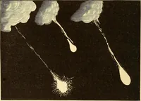 Picture 10 of 52 from The story of the sun, moon, and stars (1898), leaf 89
