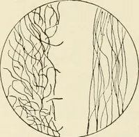 An illustration from The story of textiles (1916)