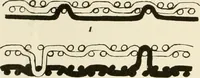 An illustration from The story of textiles (1916)