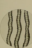 An illustration from The story of textiles; a bird's-eye view of the history of the beginning and the growth of the industry by which mankind is clothed (1912)