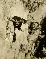 An illustration from The story of textiles; a bird's-eye view of the history of the beginning and the growth of the industry by which mankind is clothed (1912)