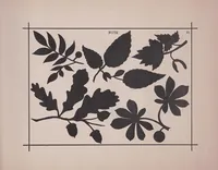 Picture 2 of 6 from Story telling with the scissors. (1899), leaf 25