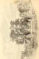 An illustration from The Stowe catalogue : priced and annotated (1848)
