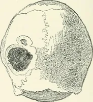 An illustration from Strange survivals : some chapters in the history of man (1892)