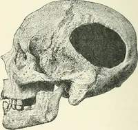 An illustration from Strange survivals : some chapters in the history of man (1892)