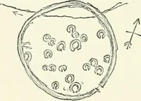 An illustration from Strange survivals : some chapters in the history of man (1892)