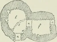 Picture 9 of 34 from Strange survivals : some chapters in the history of man (1892), leaf 86