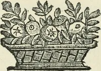 An illustration from Stranitsy khudozhestvenno kritiki (1909)