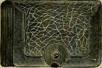 Picture 475 of 1725 from Strawbridge & Clothier's quarterly (1882), leaf 108