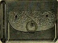 An illustration from Strawbridge & Clothier's quarterly (1882)
