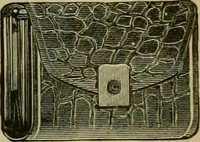 An illustration from Strawbridge & Clothier's quarterly (1882)